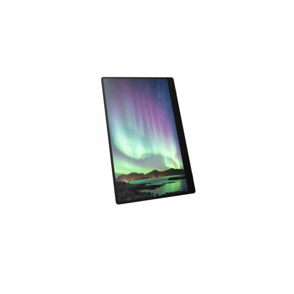 Touch Screen Monitor Ricoh 150 15,6" - Image 4