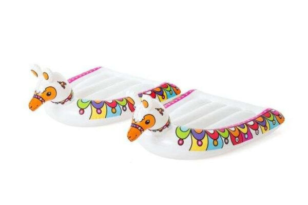 H2GO BESTWAY 52320 Double Slide - Image 3