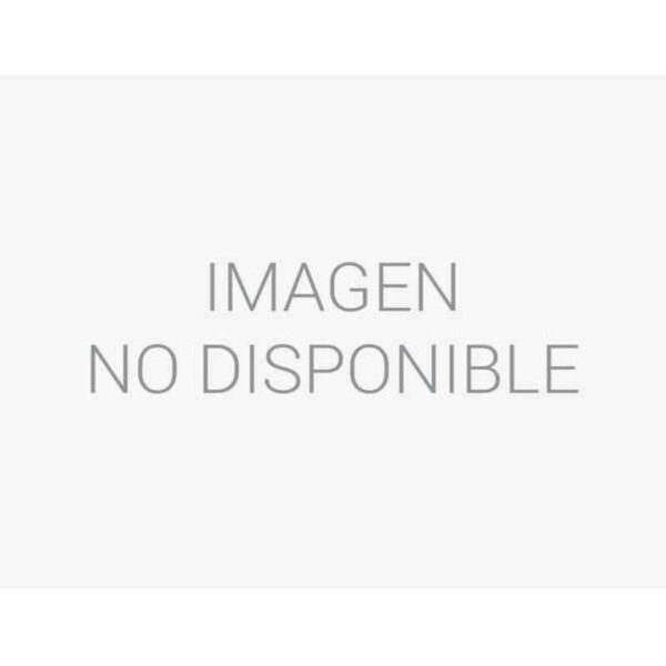 Uninterruptible Power Supply System Interactive UPS Salicru 647CA000009 850 W 480 W