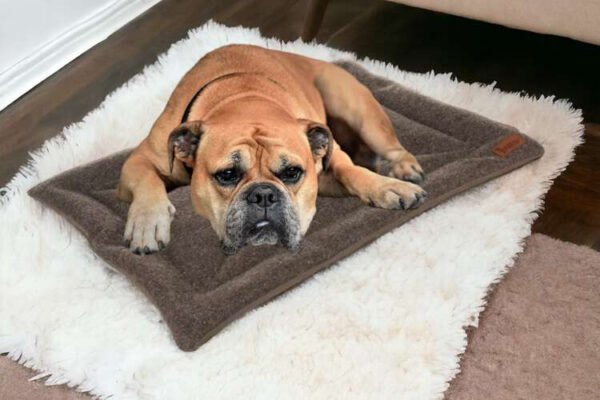 Dog bed Purlov 24593 - Image 13